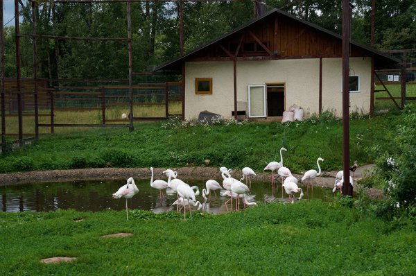Парк воробьи Калуга