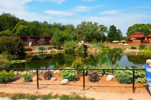 Птичий парк в Калужской области