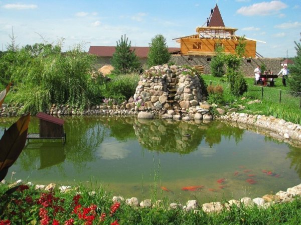 Парк птиц воробьи Калуга