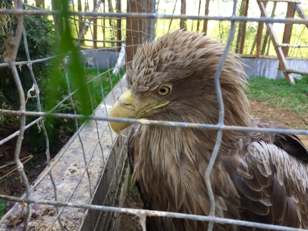 Парк воробьи Калужская область