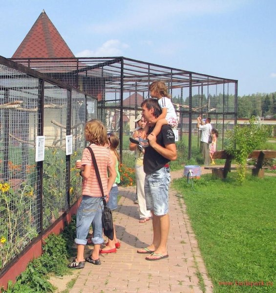 Парк птиц воробьи Калуга