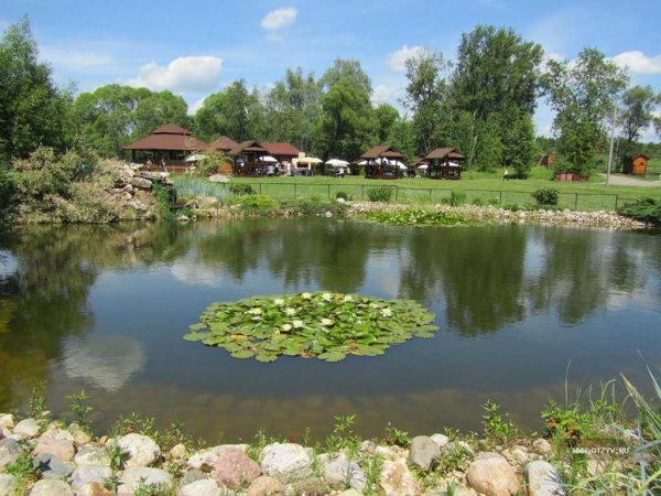 Парк воробьи Калужская область