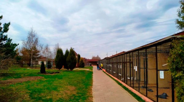 Парк птиц Жуковский район