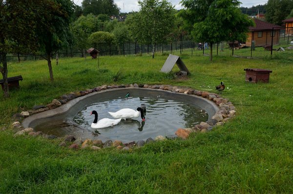 Парк воробьи Калуга