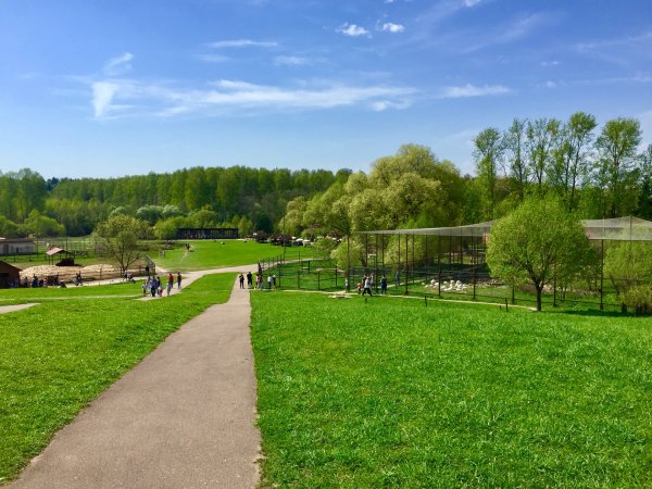 Парк воробьи Калужская область