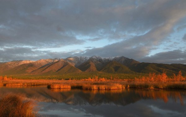 Заповедник национальный парк России Забайкальский