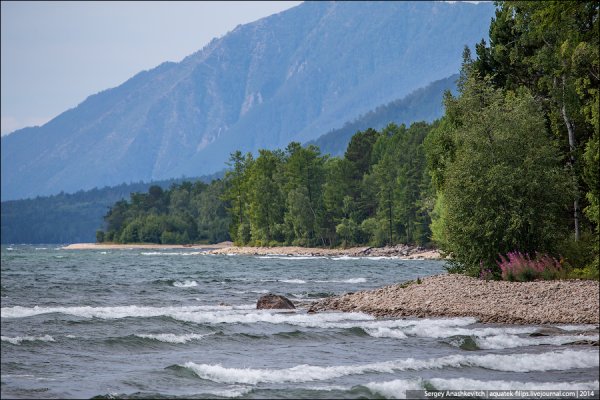 Чивыркуйский залив национальный парк