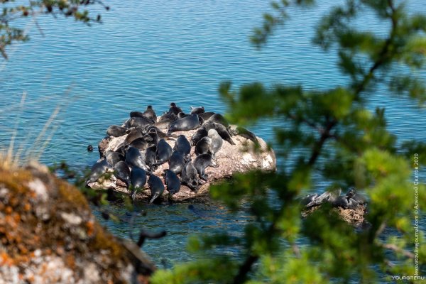 Ушканьи острова на Байкале