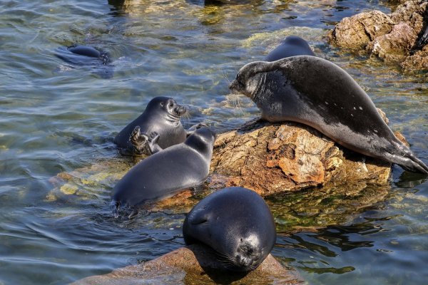 Ушканьи острова Забайкальского национального парка