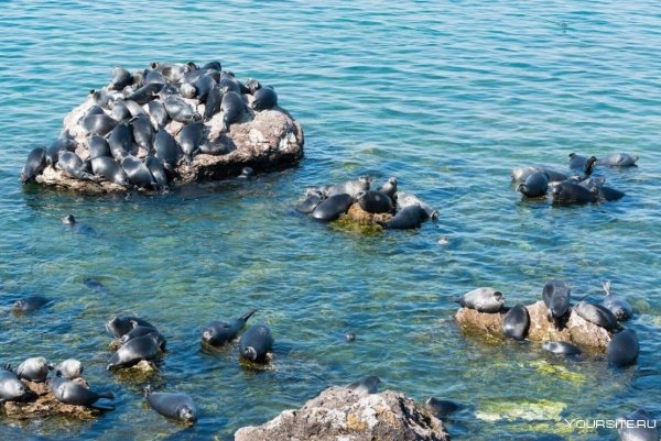 Архипелаг Ушканьи острова