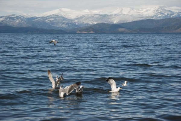 Забайкальский национальный заповедник