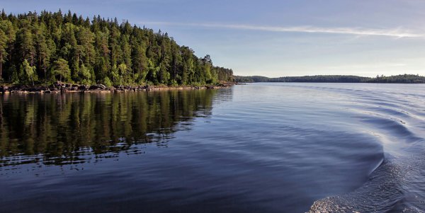 Ладога озеро Ленинградская область