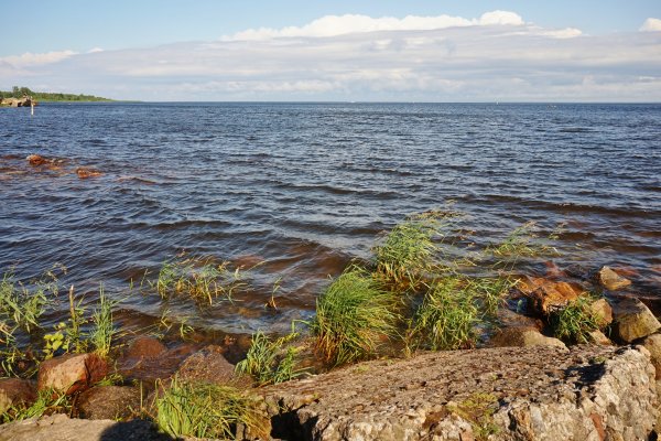 Ладога озеро Южный берег