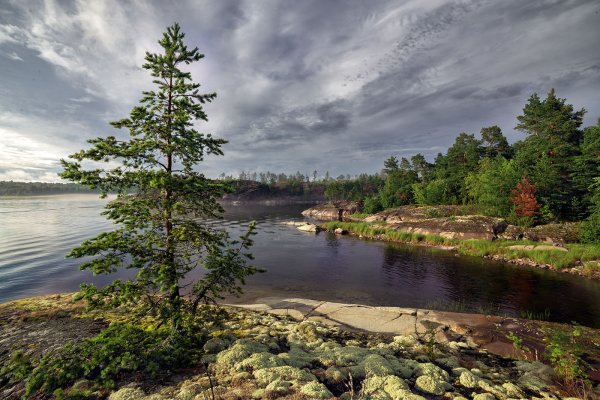 Остров Хонкасало Ладожское озеро