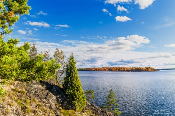 Южный берег Ладожского озера