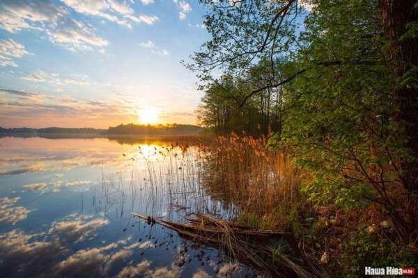 Нарочанский национальный парк растительность