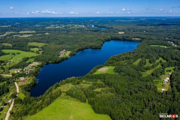 Озеро Волчино Тверская область