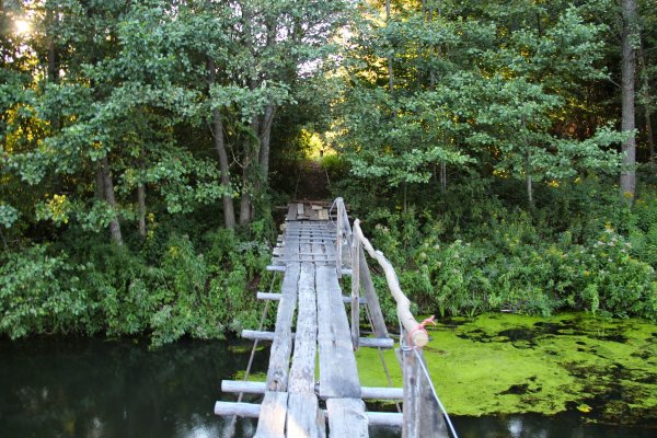 Нарочанский заповедник