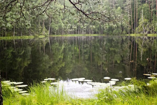 Нарочанский национальный парк