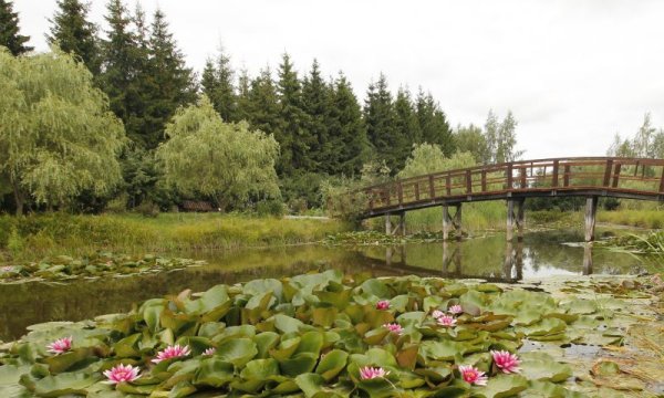 Нарочанский национальный парк Минск