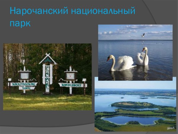 Парки и заповедники Минск