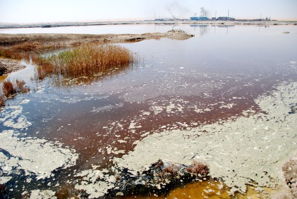 Загрязнение водоемов