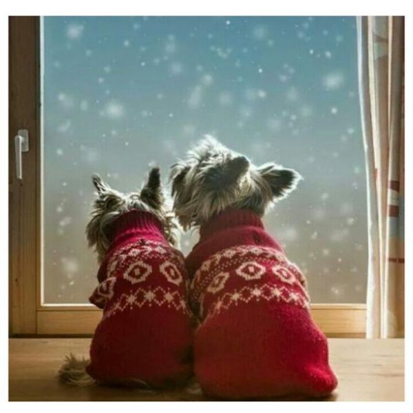 Теплые з мние пожелания