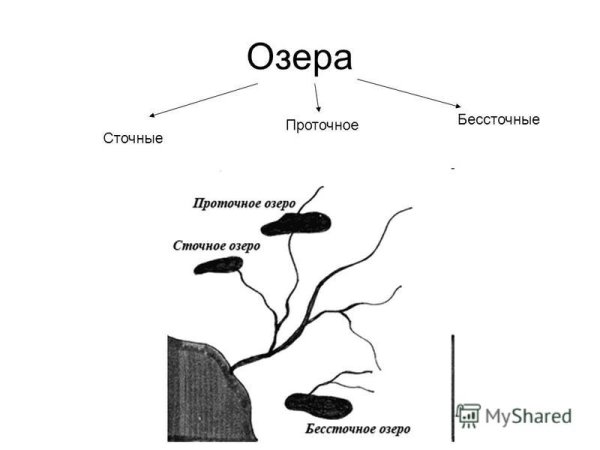 Сточные и бессточные озера