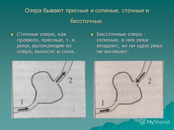 Схема река вытекает из озера