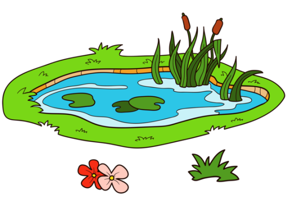 Дети на озере