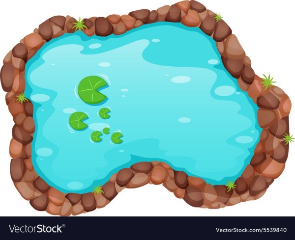 Водоем вид сверху