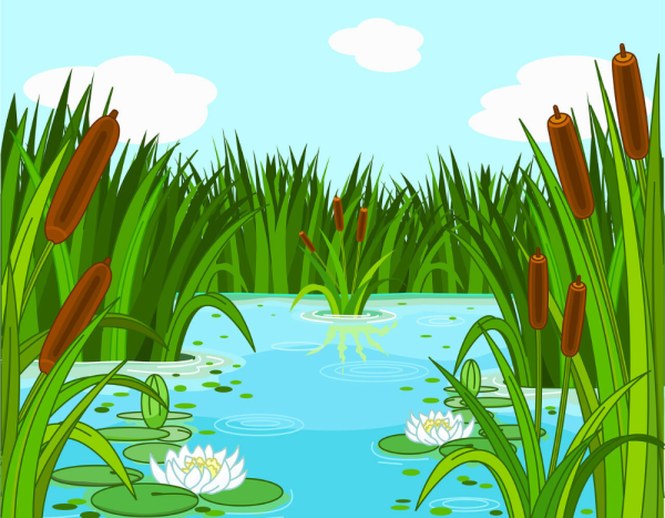 Озеро с камышами и детьми