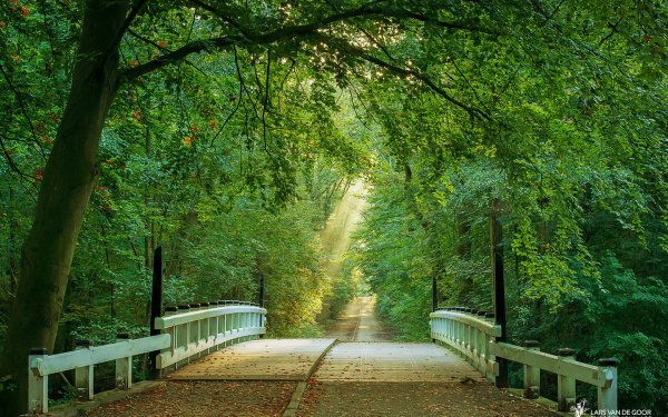 Природа парк фото