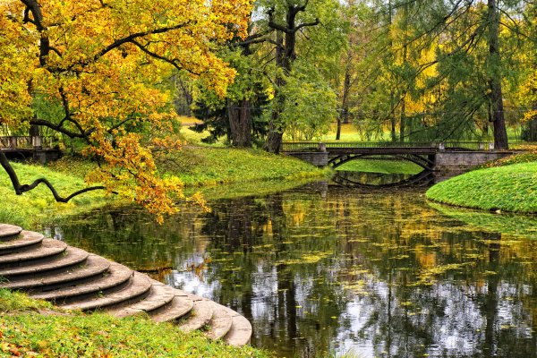 Пейзаж Петербургский парк