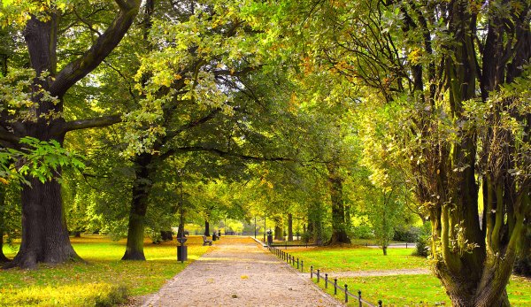 Красивый парк