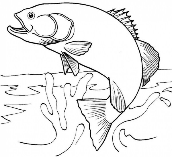 Раскраска речные обитатели
