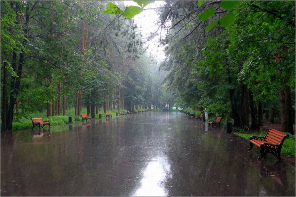 Парк Центральный Тула в дождь