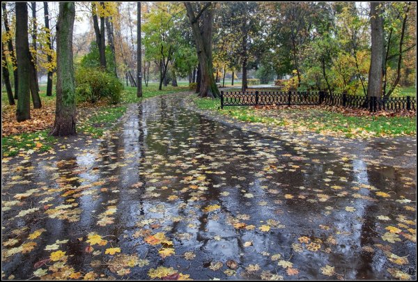 Осенний дождь в парке