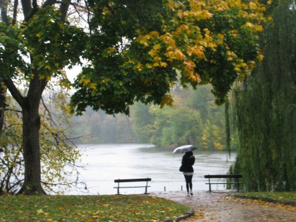Дождь в парке
