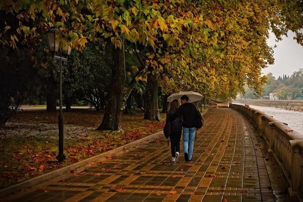 Осенний дождь в городе