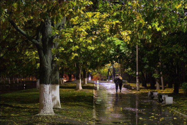 Парк Горького осень аллеи Ташкент