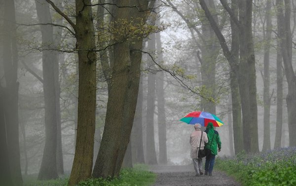 Прогулка в парке под дождем
