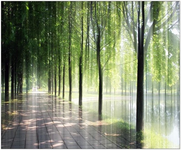 Дождь в парке летом