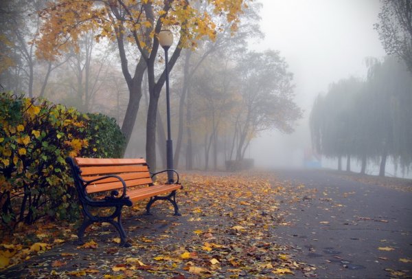 Дождливая осень