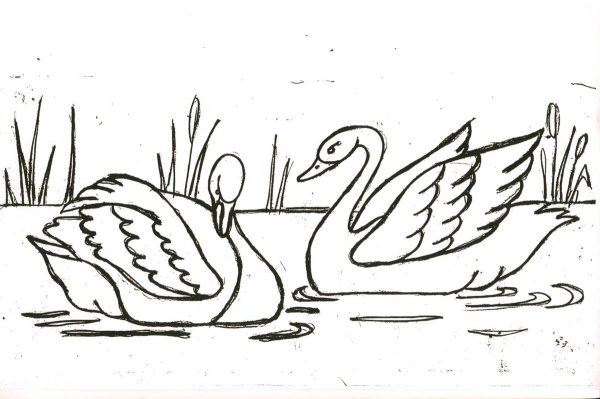 Картина по номерам без коробки. Лебеди на озере