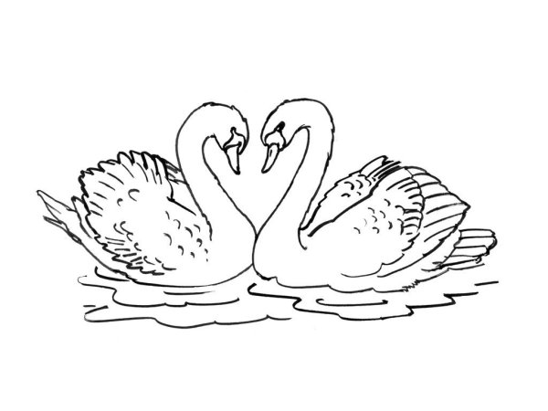 Раскраски Лебеди