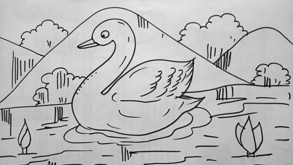 Лебединое озеро карандашом
