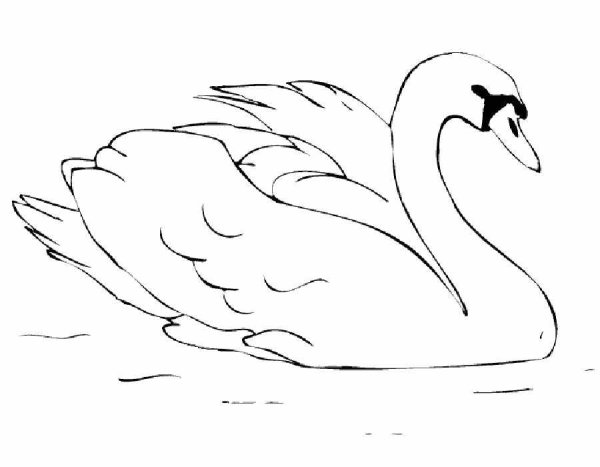 Лебедь раскраска
