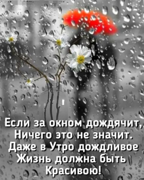 Доброе дождливое утро