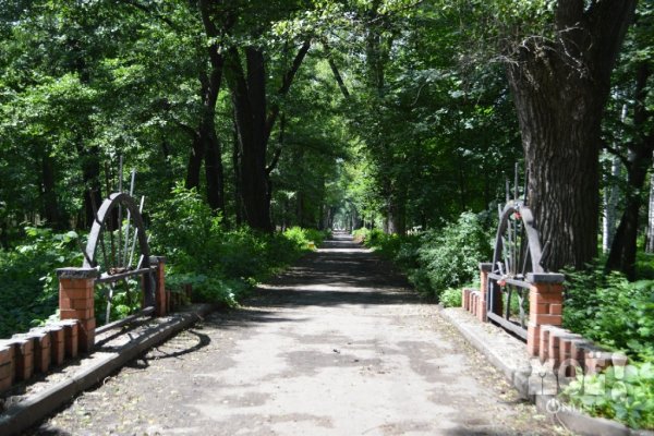 Нижнем парке Липецк